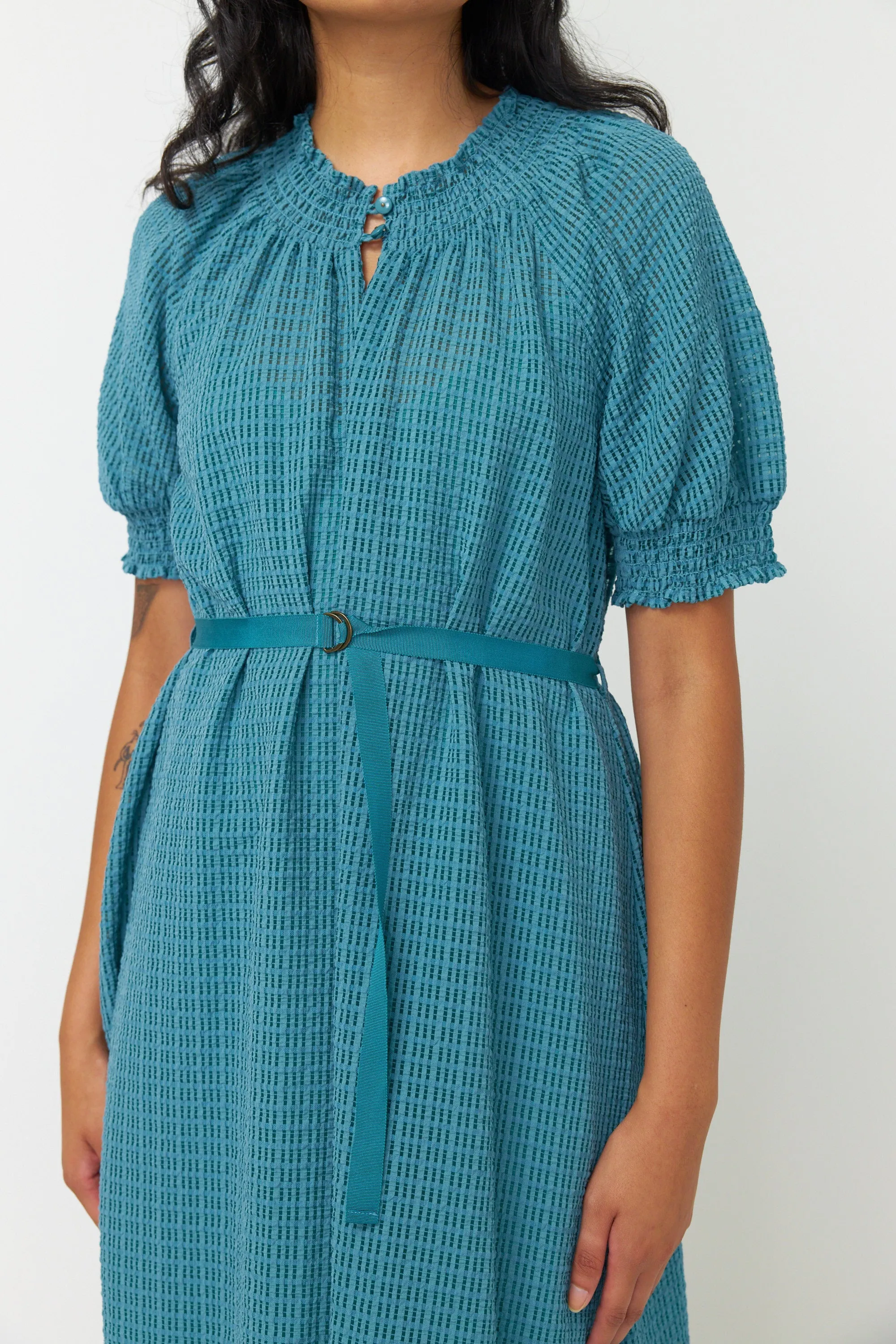 Sheer check dress