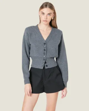 The Davis: High Waisted Nylon Shorts